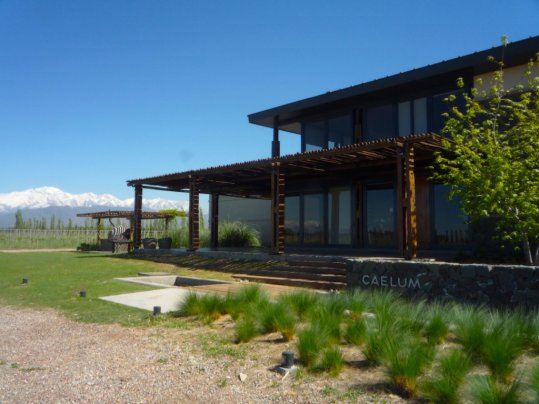 Caelum Bodega