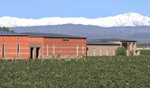 Ruca malen petite winery
