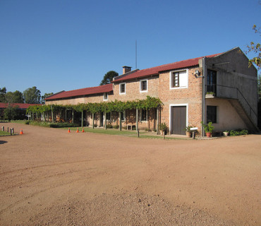 bodega bouza Uruguay