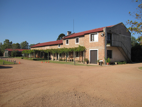 bodega bouza Uruguay