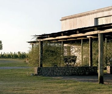bodega filguiera Petite Winery Uruguay
