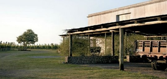 bodega filguiera Petite Winery Uruguay