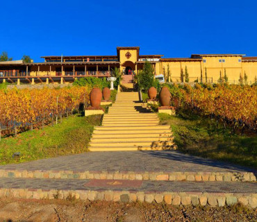 santa cruz Petite winery Chile