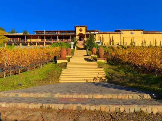 santa cruz Petite winery Chile